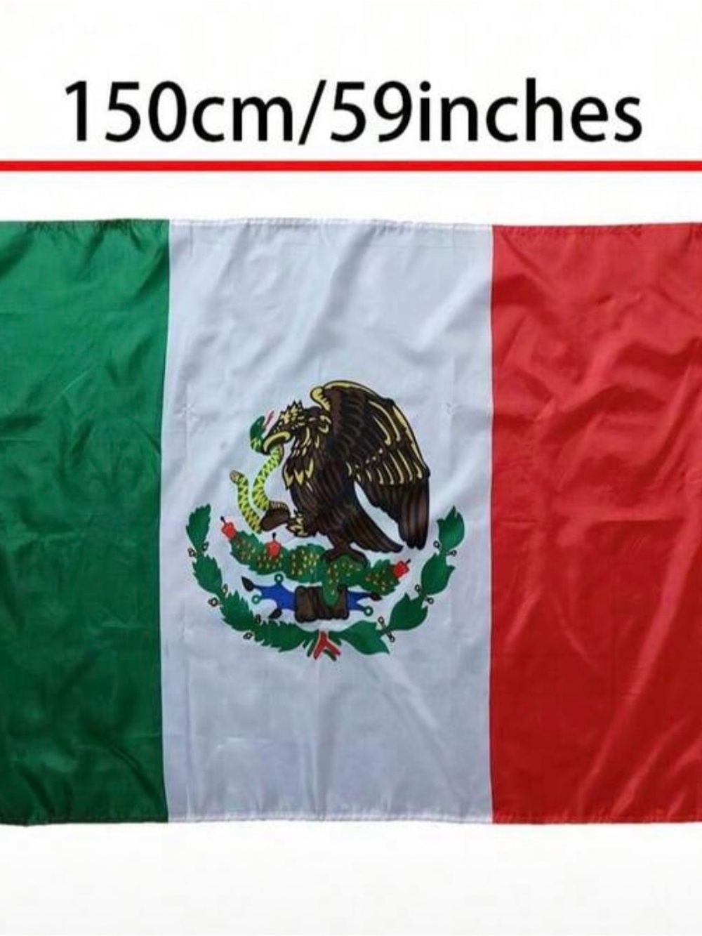 Mexican Flag Party Banner - Green White Red Mexican Crest
